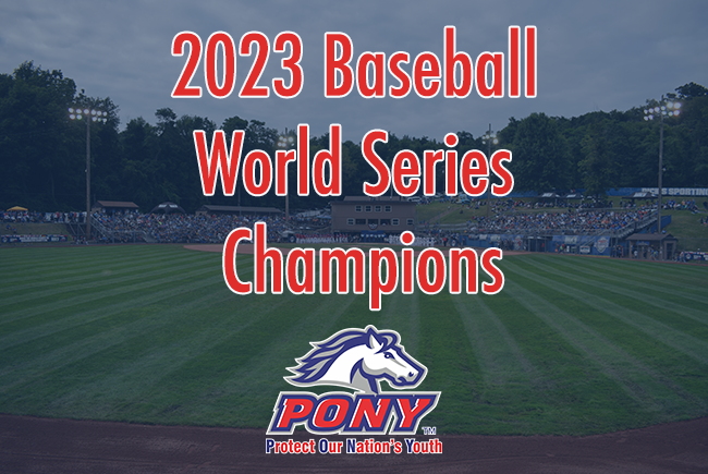 2023 Baseball World Series Champions